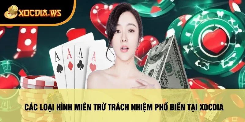 Các Loại Hình Miễn Trừ Trách Nhiệm Phổ Biến Tại Xocdia