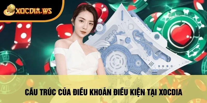 Cấu Trúc Của Điều Khoản Điều Kiện Tại Xocdia