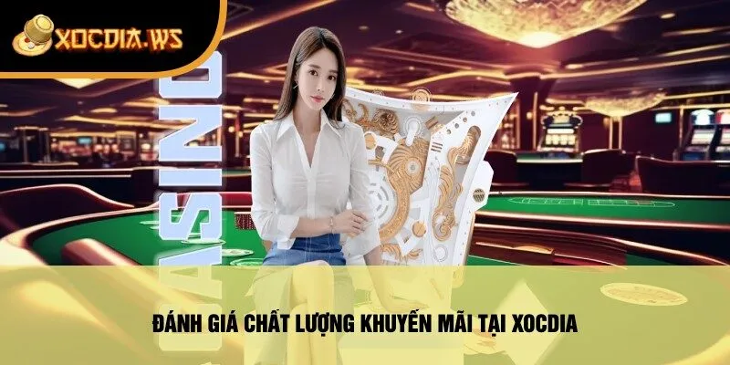 Đánh Giá Chất Lượng Khuyến Mãi Tại xocdia
