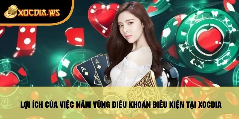 Lợi Ích Của Việc Nắm Vững Điều Khoản Điều Kiện Tại Xocdia