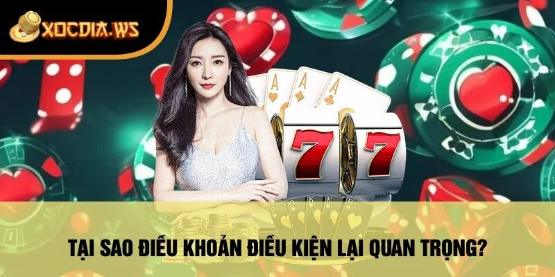 Tại Sao Điều Khoản Điều Kiện Lại Quan Trọng?