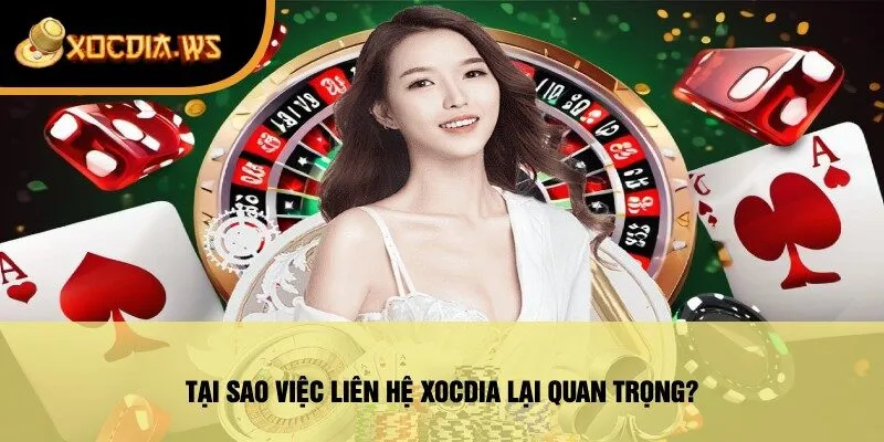 Tại Sao Việc Liên Hệ Xocdia Lại Quan Trọng?