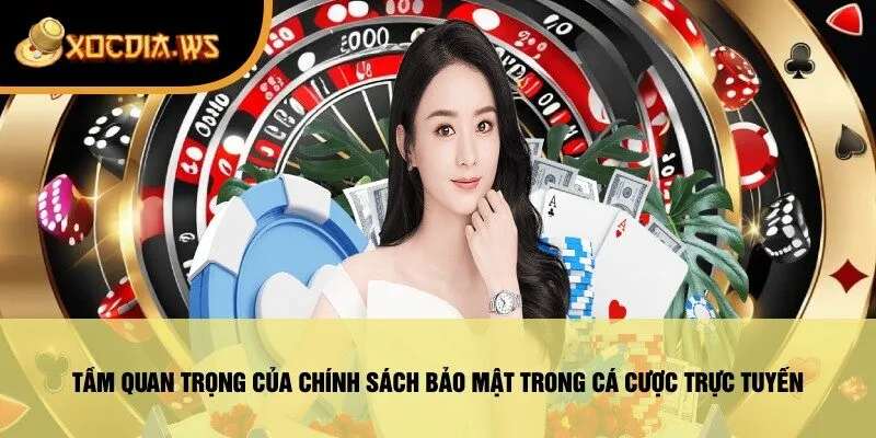 Tầm Quan Trọng Của Chính Sách Bảo Mật Trong Cá Cược Trực Tuyến
