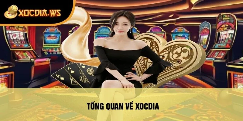 Tổng Quan Về xocdia
