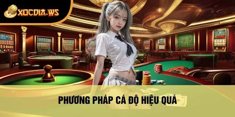 Phương Pháp Cá Độ Hiệu Quả